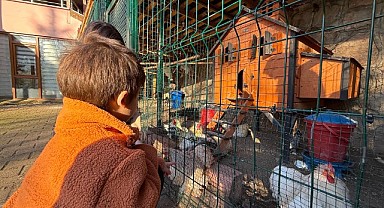 Sevimli hayvanlar, özel çocukları tedavi ediyor