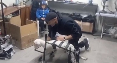 4 tekerlekli yürüteç Pamuk’a ayak oldu!