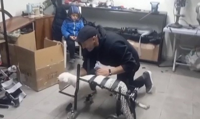 4 tekerlekli yürüteç Pamuk’a ayak oldu!