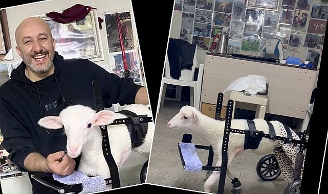 4 tekerlekli yürüteç Pamuk’a ayak oldu!