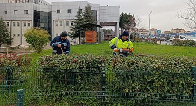Büyükşehir hastane bahçelerine bakım yapıyor