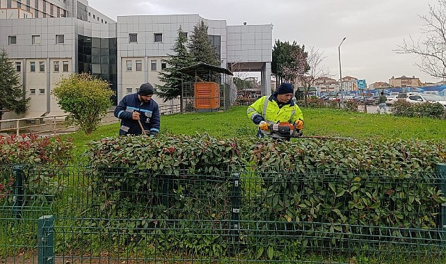 Büyükşehir hastane bahçelerine bakım yapıyor