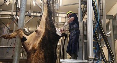 Büyükşehir Mezbahası, güvenli hizmet sunuyor