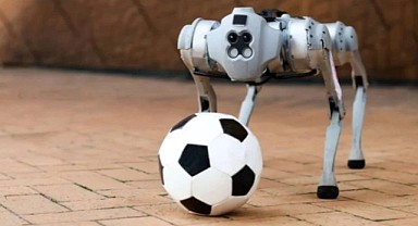 Dünya Kupası'nda robot köpeklere yeni görev
