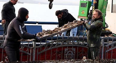  Eskihisar’da dip temizliği gerçekleştirildi