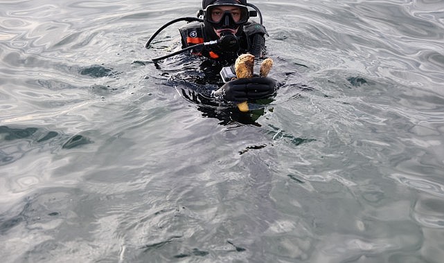  Eskihisar’da dip temizliği gerçekleştirildi