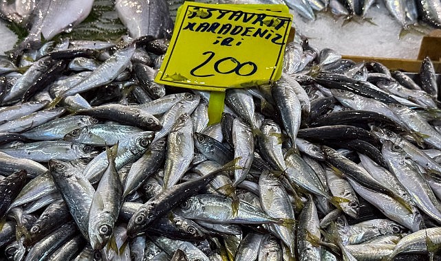 Fırtına, balık tezgahlarını vurdu!