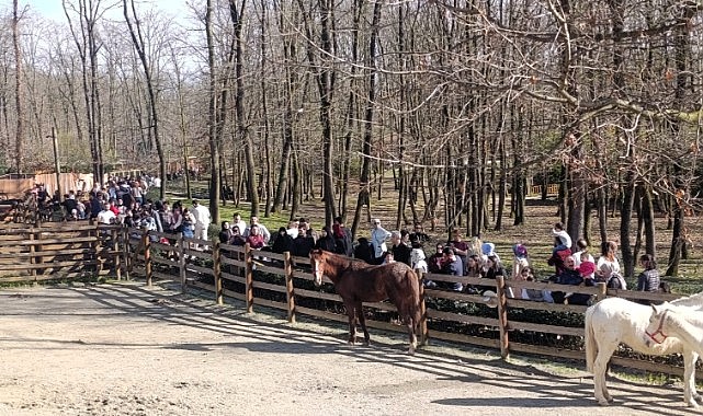 Güzel havanın rotası Ormanya oldu