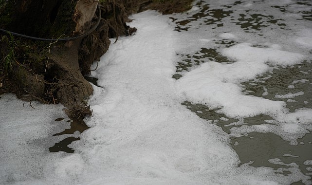 Kocagöl Deresi’ndeki koku vatandaşı canından bezdirdi!