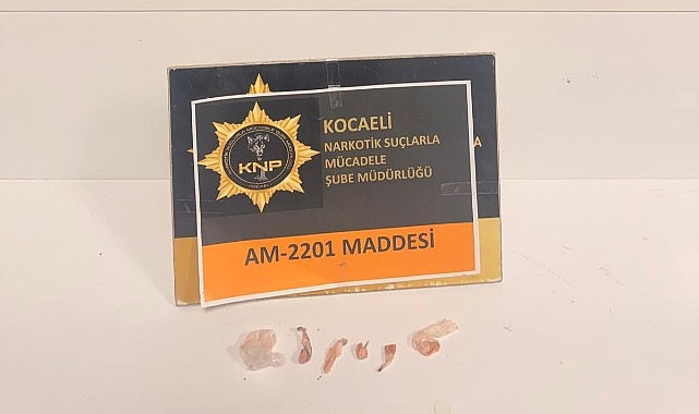 Narkotik baskınında 11 şüpheli yakalandı