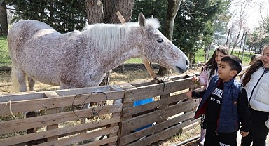 Ara tatilde 230 çocuk binicilikle tanıştı