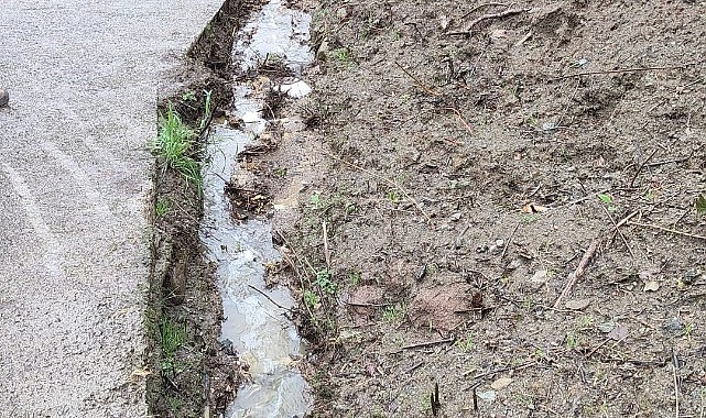 Dereye hayvansal atık bırakan çiftlikler yakalandı