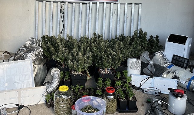 Evde sera kurup uyuşturucu üretmişler!