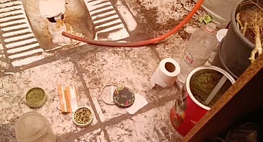 Evde sera kurup uyuşturucu üretmişler!