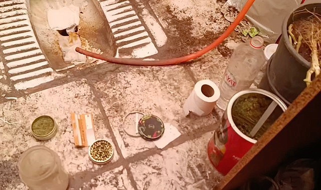 Evde sera kurup uyuşturucu üretmişler!