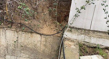 Fidan dikmek için kazdılar! İnsan kemikleri buldular