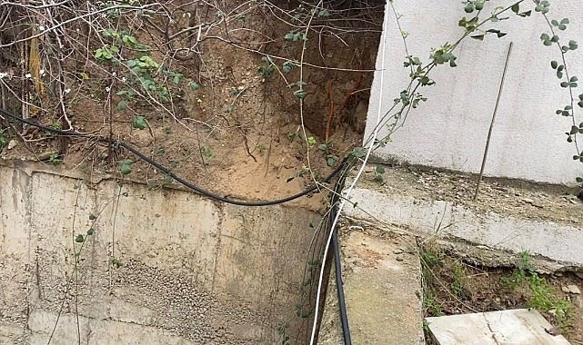 Fidan dikmek için kazdılar! İnsan kemikleri buldular