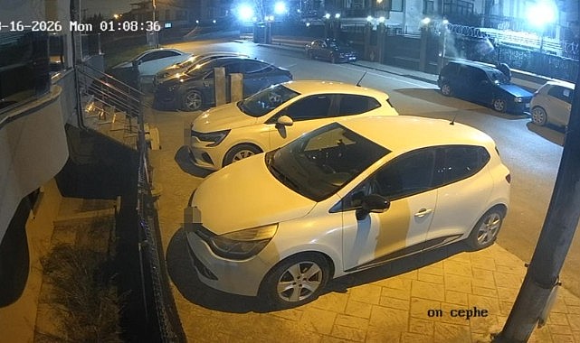 Park halindeki otomobil cayır cayır yandı