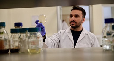 Sivrisinek popülasyonu kontrol altına alınacak