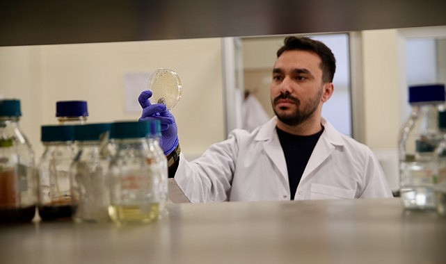 Sivrisinek popülasyonu kontrol altına alınacak