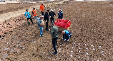 Başiskele’de 15 bin gül fidanı toprakla buluşuyor