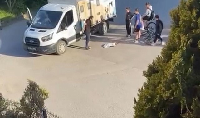 Çocuklar yaralı kedinin başında nöbet tuttu