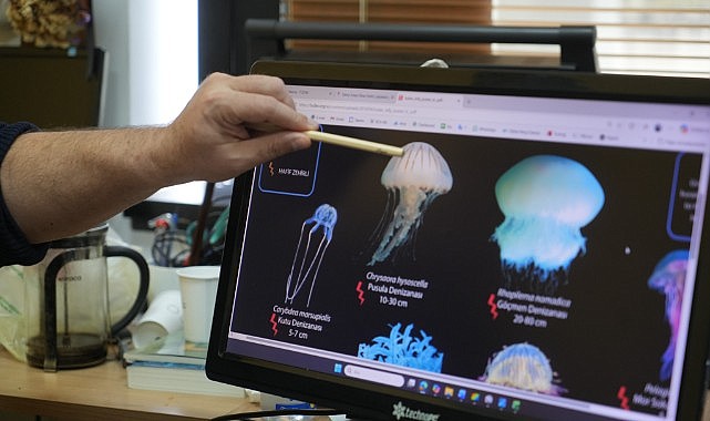 Denizde bu türü görürseniz sakın yaklaşmayın