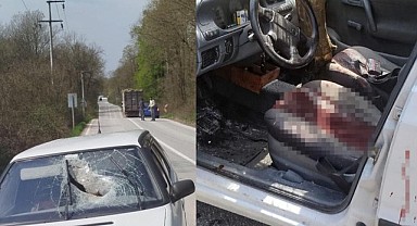 Kamyondan düşen tomruk otomobile saplandı