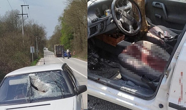 Kamyondan düşen tomruk otomobile saplandı