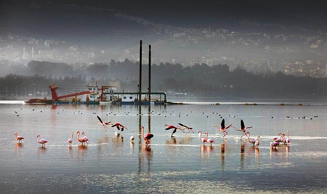 Körfez’in sahipleri yeni gelmedi geri geldi
