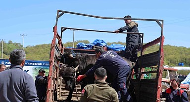 Manda yetiştiricilerine 3,4 milyon liralık destek
