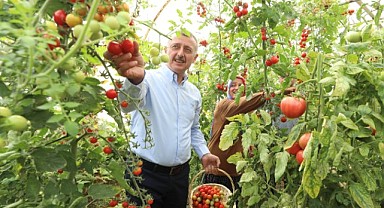 Yüzde 75 hibeli fide desteği sağlanacak