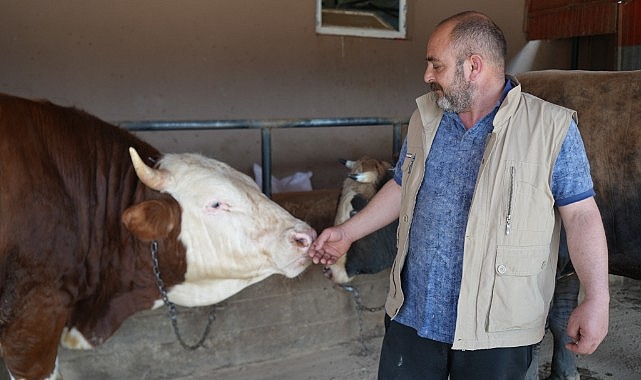 1 ton 300 kiloluk Gravyer, heybetiyle dikkat çekti!