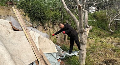 100 kişilik dev ekip, vektörle mücadele ediyor
