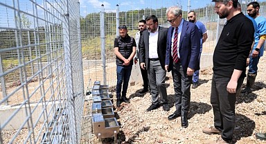 650 köpek kapasiteli yeni barınak hizmete alındı