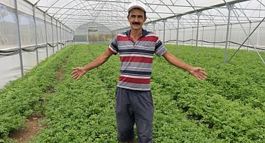 Büyükşehir, yüzde 50 hibeli modern sera desteği veriyor