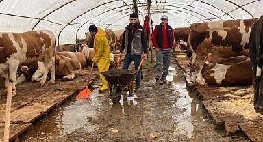 Kurban pazarını su bastı! Hayvanlar tahliye edildi