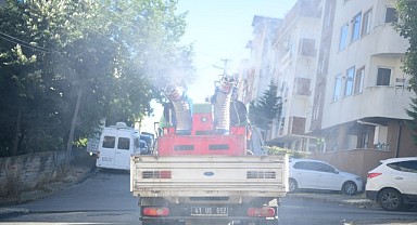 Çayırova’da vektörle mücadele başladı!