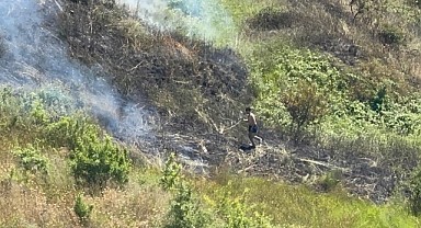 Darıca sahilde çıkan yangın kısa sürede söndürüldü!