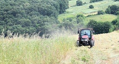 Hibeli tohumlar, hasatta çiftçinin yüzünü güldürdü