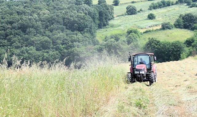 Hibeli tohumlar, hasatta çiftçinin yüzünü güldürdü