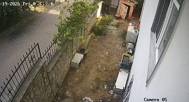 Hırsız karga kameraya yakalandı!