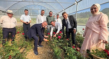 Kocaeli tarımında kadın eliyle ‘Güller’ açtı!