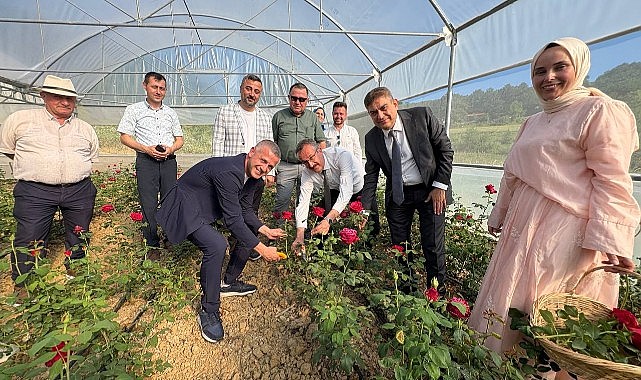 Kocaeli tarımında kadın eliyle ‘Güller’ açtı!