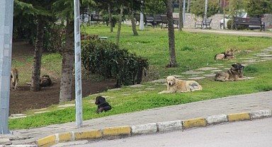  Oğluna saldıran köpeği vurmuştu, ilk kez konuştu