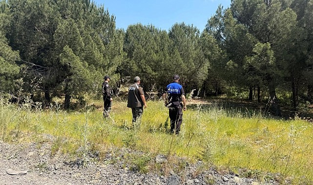 Orman yangınlarına karşı denetim arttı