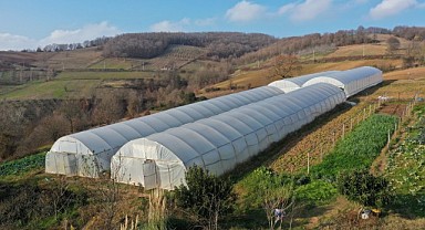 Seraları zarar gören üreticiler mağdur edilmedi