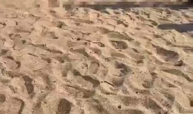 Serinlemek için girdikleri deniz iki kardeşi ayırdı!