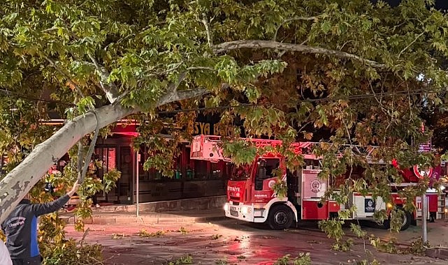 Tramvay hattına düşen dal seferleri aksattı