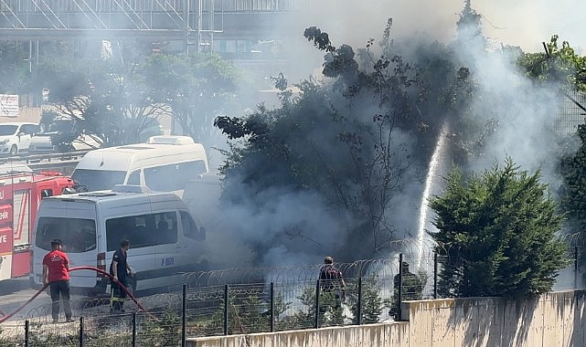 Ağaçlık alanda çıkan yangın korkuttu!